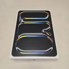 新品未開封M4iPadPro 11インチ 256GBWi-Fi+Cellular