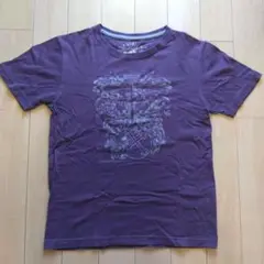パープル グラフィックTシャツ M
