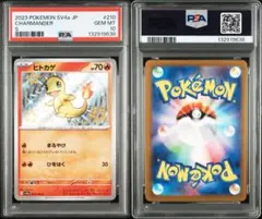 PSA10ヒトカゲ #210 9638