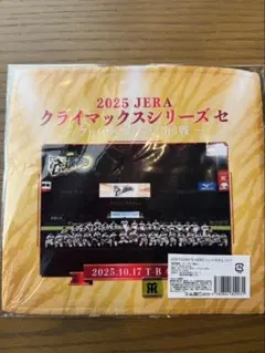 2025JERAクラマックスシリーズ第3戦10/17TODAYS HERO