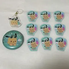 ポチャッコ　フレークシール　ホログラム缶バッジ　マーカーチャーム　日焼け