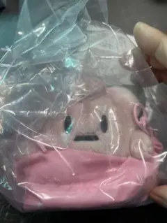 2025 Pokémon Collection マスコット