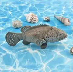 ハタ科.リアルフィギュア.魚愛好家