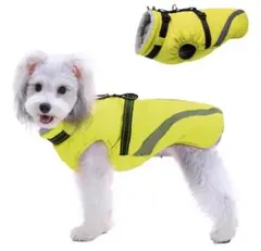 Item thumbnail for item f7f46cb8-37e8-4776-95a2-047c54ce7366