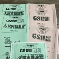 最新 サピックス 社会 6年 SS特訓 志望校別講座 SS-12 - メルカリ