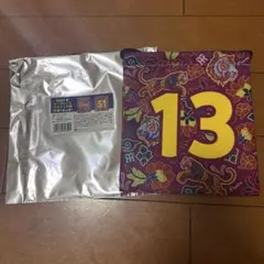 阪神タイガース　シークレットバティック風巾着 岩崎優