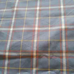 Item thumbnail for item bbdf1d17-7d0c-481b-86c2-7f078e527568