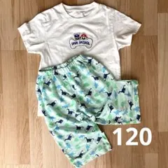 キッズ120㎝　2点セット ルームウェア　パウパトロールTシャツ　恐竜柄ステテコ