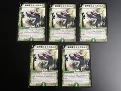 デュエルマスターズ 緑神龍ミルドガルムス 初期 5枚