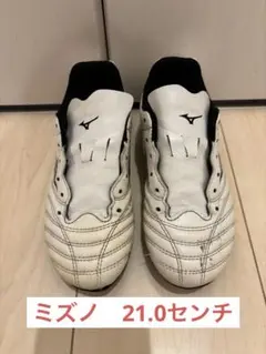 モナルシーダ 21.5