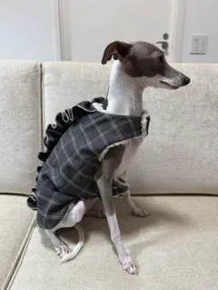 イタグレ服 アウター 犬服