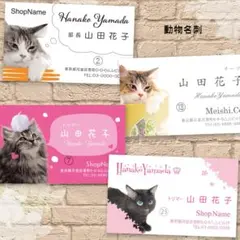 Item thumbnail for item b2cff028-cac1-42b9-88f0-90c501905cfb