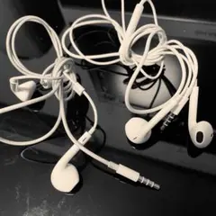 イヤーポッツ2個セット