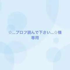 ☆...プロフ読んで下さい...☆様専用（2/1まで出品）