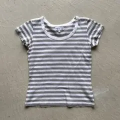 agnes b. border tee ボーダー tシャツ グレー 白