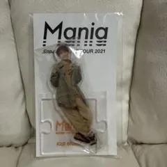 向井康二　アクスタ