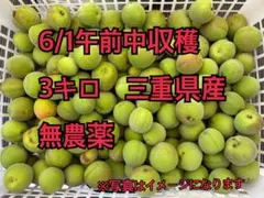 探偵ナイトライダー様 リクエスト 2点 まとめ商品