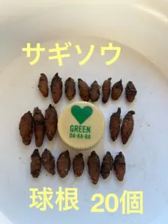 ヤッチャンオッチャン様 リクエスト 2点 まとめ商品