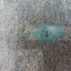 Item thumbnail for item 6107d510-a897-458c-b24c-2c5326252d46