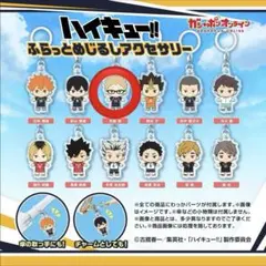 ハイキュー‼︎ ふらっとめじるしアクセサリー 月島蛍