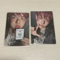 &team Back to Life トレカ HARUA セット