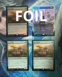 MTG 熱心な飼育係/Diligent Zookeeper TLA 日本語版4枚