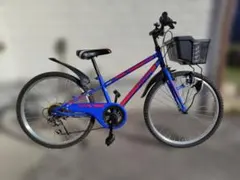 FIRE DRAGON キッズ自転車 グレー/レッド - メルカリ