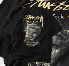 極美品　ステューシー Statue Pigment Dyed STUSSY