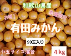 和歌山県有田産　小玉サイズ混合❗宮川早生　４kg　みかんキング　90玉入り