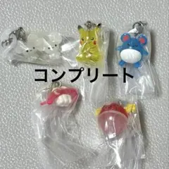 ポケモン　めじるしアクセサリー　5種コンプリート