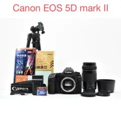 Canon EOS Kiss X5・外付けフラッシュ・三脚セット 楽天市場】eos kiss 三脚の通販