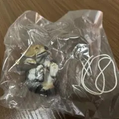 ぶらりーず　ビーグル