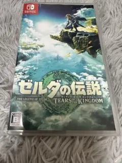 ジャンク品 ゼルダの伝説 ティアーズオブキングダム
