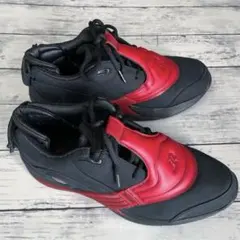 【新品未使用】Reebok Answer DMX V アイバーソン 27cm