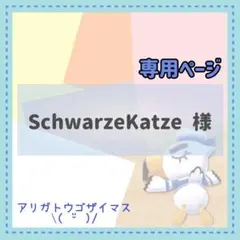 SchwarzeKatze様 リクエスト 5点 まとめ商品