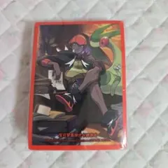 未開封新品) ポケカ デッキシールド スリーブ 中国限定 キバナ フライゴン