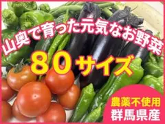 農薬不使用　お野菜詰め合わせセット80サイズ送料込みのサムネイル