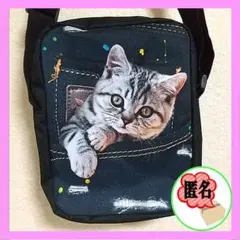 ★アニマルショルダーバッグ(ポケットネコ)★