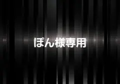 ぽん様 リクエスト 2点 まとめ商品