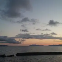 ラ # クマ様　専用