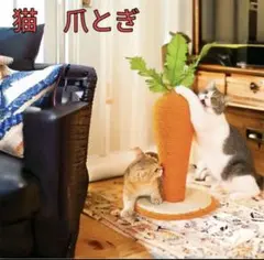 Item thumbnail for item ca68cd2b-fd43-4ff1-9cf8-5b703a198267