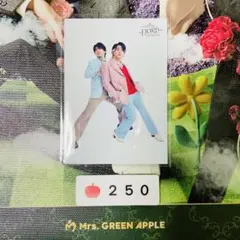 【♡】Mrs. GREEN APPLE FJORD 集合 035