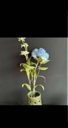 Item thumbnail for item 53141664-355c-46ea-8733-7b83919ea8e8