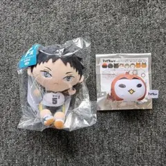 ハイキュー‼ぬいもっち　ぬいもっちマスコット　ミニビーズクッション　赤葦京治