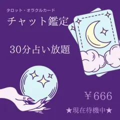 チャット鑑定 30分占い放題☆【待機中です】