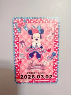 ディズニー パルパルーザ ミニー ミニパル ミニファン リゾラ フリーきっぷ