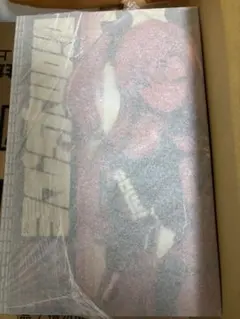 【新品・特典付】 APEXゼンレスゾーンゼロニコ・デマラ1/7スケールフィギュア