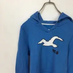 ホリスター パーカー 古着 ブルー 裏起毛