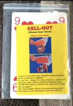 poker808様 リクエスト 2点 まとめ商品