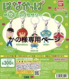 専用ページ